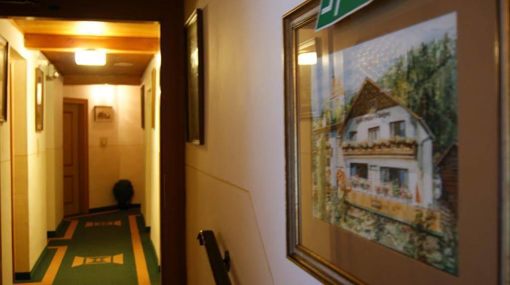Gasthof Pension St. Wolfgang Kirchberg am Wechsel Eksteriør bilde